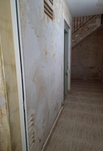 WhatsApp Image 2026-02-12 at 13.08.32