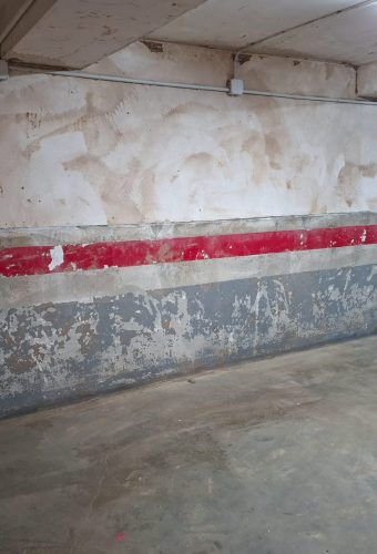 WhatsApp Image 2026-02-12 at 13.08.42