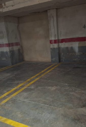 WhatsApp Image 2026-02-12 at 13.09.05