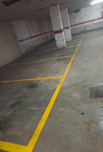 WhatsApp Image 2026-02-12 at 13.09.16