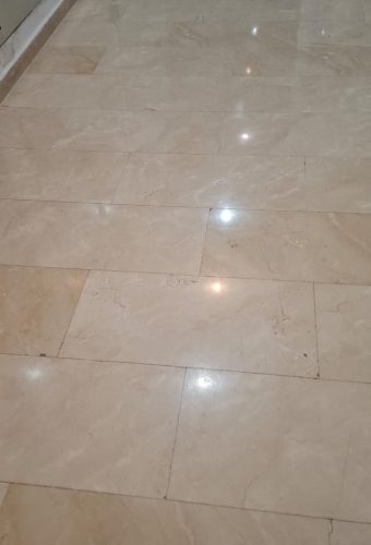 WhatsApp Image 2026-02-12 at 13.10.31