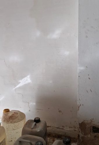 WhatsApp Image 2026-02-12 at 13.12.20 (1)