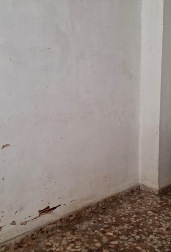 WhatsApp Image 2026-02-12 at 13.12.20 (2)