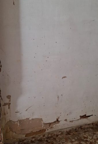 WhatsApp Image 2026-02-12 at 13.12.20 (3)