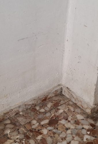 WhatsApp Image 2026-02-12 at 13.26.35 (1)