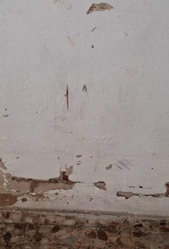 WhatsApp Image 2026-02-12 at 13.26.35