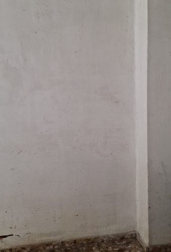 WhatsApp Image 2026-02-12 at 13.26.36 (1)