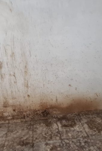 WhatsApp Image 2026-02-12 at 13.26.36 (6)