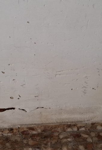 WhatsApp Image 2026-02-12 at 13.26.36