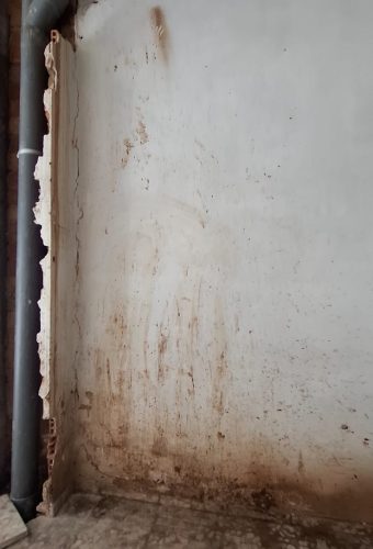 WhatsApp Image 2026-02-12 at 13.26.37 (2)