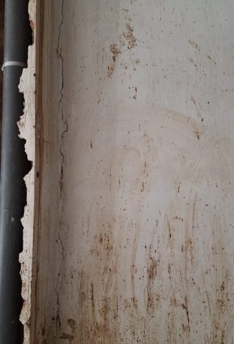 WhatsApp Image 2026-02-12 at 13.26.37 (3)