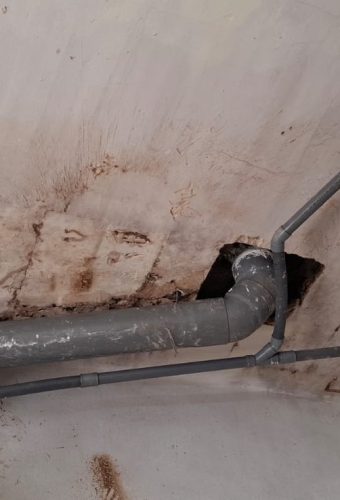 WhatsApp Image 2026-02-12 at 13.26.37 (5)