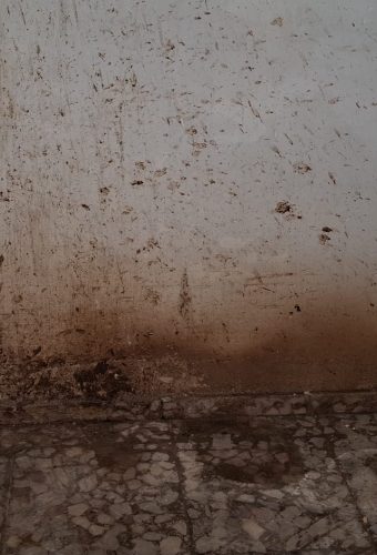 WhatsApp Image 2026-02-12 at 13.26.37 (7)