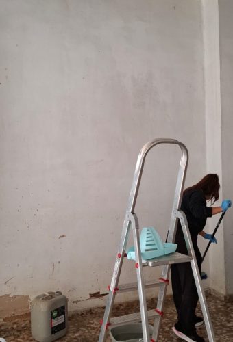 WhatsApp Image 2026-02-12 at 13.26.37