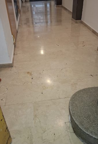 WhatsApp Image 2026-02-12 at 13.26.38 (5)