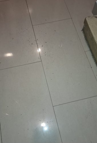 WhatsApp Image 2026-02-12 at 13.26.39 (1)