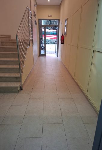 WhatsApp Image 2026-02-12 at 13.26.41