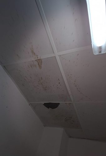 WhatsApp Image 2026-02-12 at 13.26.45 (10)