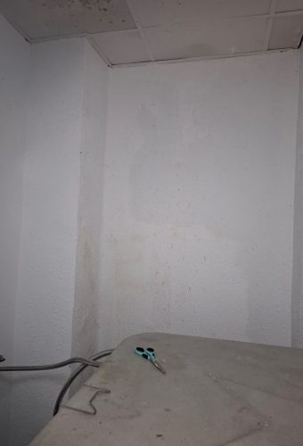 WhatsApp Image 2026-02-12 at 13.26.45 (8)