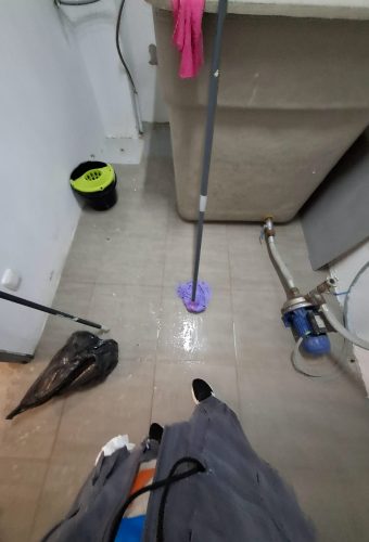 WhatsApp Image 2026-02-12 at 13.26.45