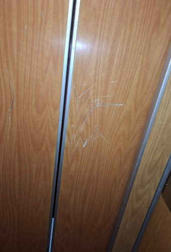 WhatsApp Image 2026-02-12 at 13.26.46