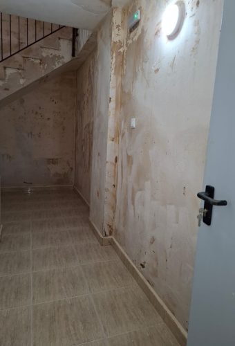 WhatsApp Image 2026-02-12 at 13.26.52 (1)