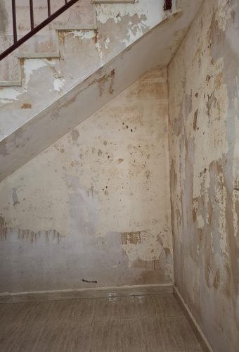 WhatsApp Image 2026-02-12 at 13.26.52 (3)