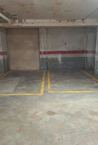 WhatsApp Image 2026-02-12 at 13.26.52