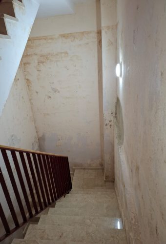 WhatsApp Image 2026-02-12 at 13.26.53 (3)