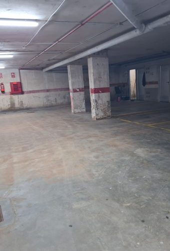 WhatsApp Image 2026-02-12 at 13.27.01 (1)