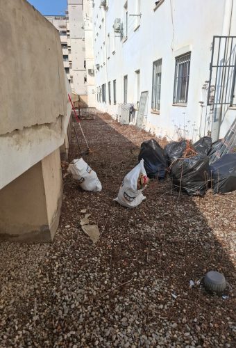 WhatsApp Image 2026-02-12 at 13.27.03 (1)