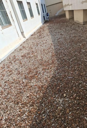 WhatsApp Image 2026-02-12 at 13.27.03 (2)