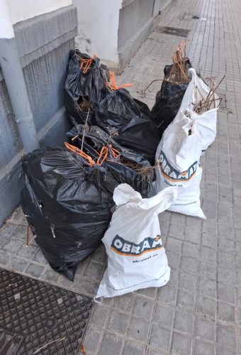 WhatsApp Image 2026-02-12 at 13.27.03 (3)