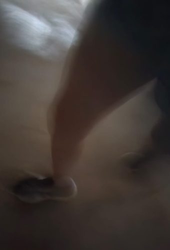 WhatsApp Image 2026-02-12 at 13.27.03