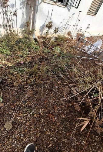 WhatsApp Image 2026-02-12 at 13.27.04 (1)