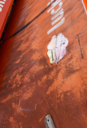 WhatsApp Image 2026-02-12 at 13.27.04 (4)