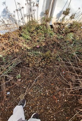 WhatsApp Image 2026-02-12 at 13.27.04