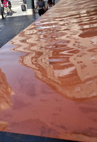 WhatsApp Image 2026-02-12 at 13.27.53 (4)