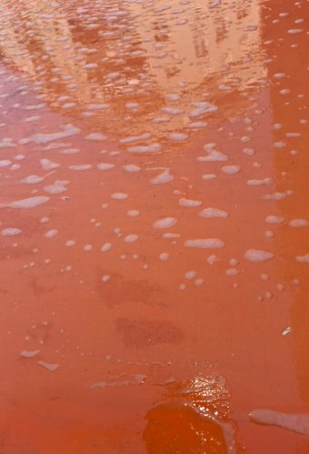 WhatsApp Image 2026-02-12 at 13.27.53