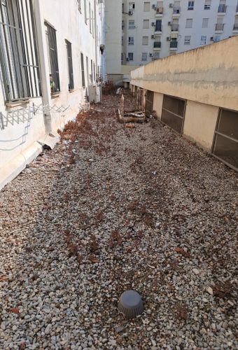 WhatsApp Image 2026-02-12 at 13.27.54 (4)