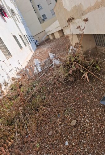 WhatsApp Image 2026-02-12 at 13.27.54 (5)