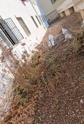 WhatsApp Image 2026-02-12 at 13.27.54 (6)