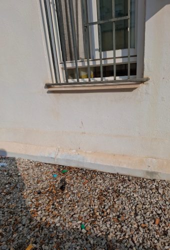 WhatsApp Image 2026-02-12 at 13.27.54 (7)