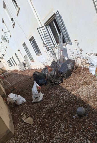 WhatsApp Image 2026-02-12 at 13.27.54 (8)