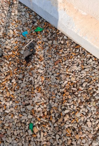 WhatsApp Image 2026-02-12 at 13.27.55 (1)