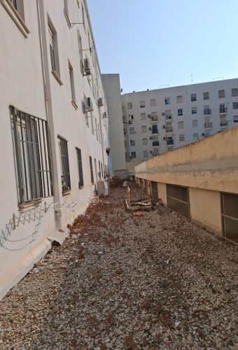 WhatsApp Image 2026-02-12 at 13.27.55 (2)