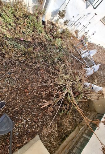 WhatsApp Image 2026-02-12 at 13.27.55 (3)