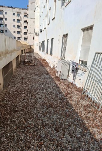 WhatsApp Image 2026-02-12 at 13.27.55